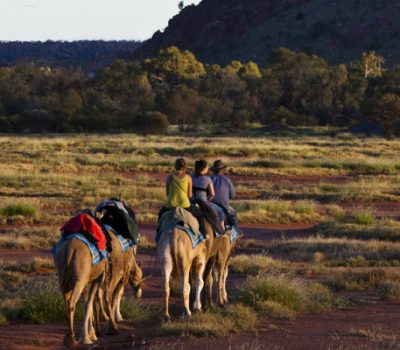 Camel ride in Alice Springs