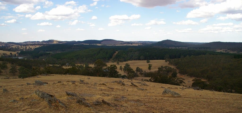 Mount Crawford Forest