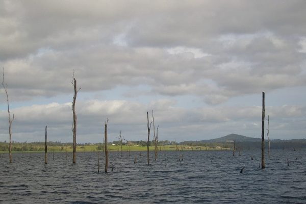 Atherton Tablelands Caravanning