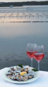 oysters by the sea